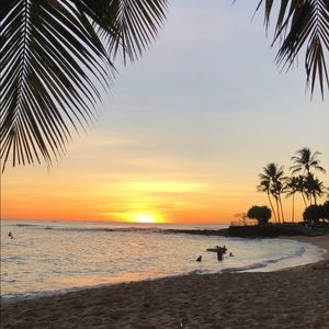 Meet your Posher, Ariel